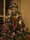Filename=tree.JPG
Filesize=46KiB
Dimensions=420x560
Date added=Dec 14, 2003 tree.JPG
