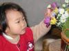 flower.jpg