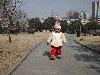 Filename=春节2.JPG
Filesize=38KiB
Dimensions=512x384
Date added=Feb 01, 2004 春节2.JPG